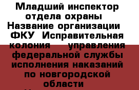 Младший инспектор отдела охраны › Название организации ­ ФКУ "Исправительная колония № 9 управления федеральной службы исполнения наказаний по новгородской области", Некоммерческая организация › Отрасль предприятия ­ Другое › Минимальный оклад ­ 25 000 - Все города Работа » Вакансии   . Мордовия респ.